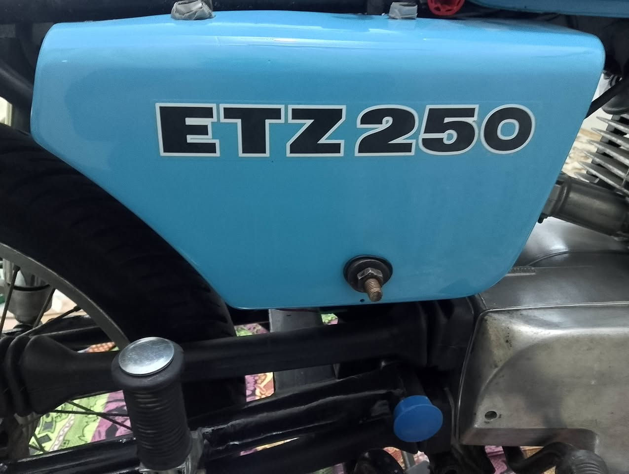 من رخصت مدير الكروب السلام عليكم جنايه كشر لبيع كشر جديد كلش وصبغه جديده وقطره معجون ما بي ابيعه بدون قبق بانزين يوجد توصيل لجميع المحافظات العراق رقم الهاتف ***********
