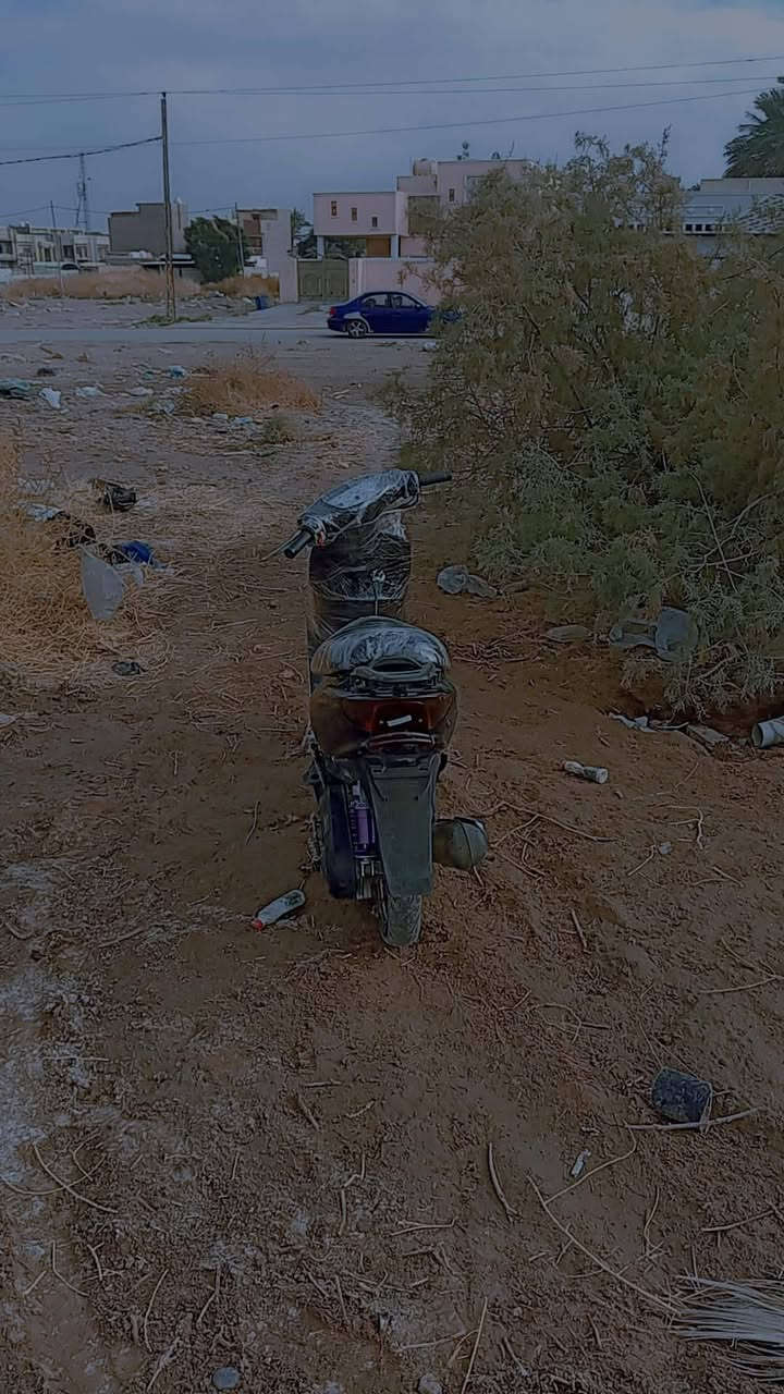 السلام عليكم دراجه عصفوريه للبيع شغاله كامله كهربايات كلهه شغاله بس السلف ما يشتغل السعر 150
قفل🔒 المكان بغداد البياع منطقة المعالف الستفسار***********
