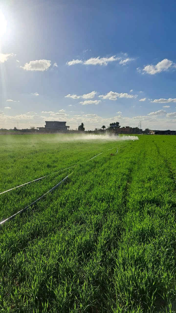 السلام عليكم ✋
يوجد رشاش هولدر...( 800 لتر ) 🚿🚜
الهولدر يرش (8) دوانم 🏞
سعر 20 الف💵

ملاحظه.مايحتاج تجضع النوزلات.مزود بصوندات 60 سم 📏
للاستفسار اكثر 👇
 ***********
***********
