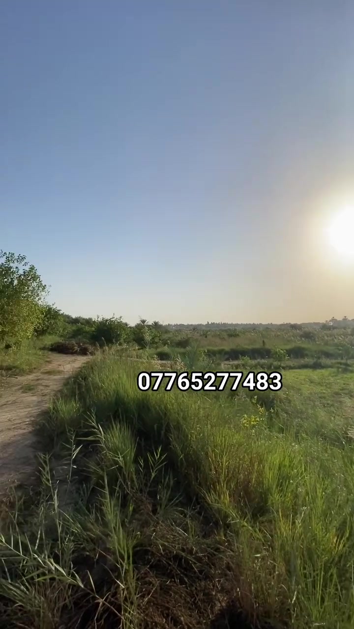 🌴 فرصة استثمارية نادرة – بستان شاطئي مميز للبيع 🌴

📍 الموقع: بغداد – المدائن

✅ المساحة: 8 دونم (20,000 م²)
✅ بستان شاطئي بموقع مميز
✅ عقد 24
✅ مناسب للاستثمار الزراعي، والاستراحات، والمشاريع السياحية والترفيهية.
✅ موقع هادئ ومستقبل استثماري واعد.

💰 فرصة حقيقية لامتلاك عقار مميز يجمع بين قيمة الأرض والموقع الاستراتيجي.

📞 للاستفسار والمعاينة:
***********

🏢 نبع الخليج للاستثمار العقاري
ثقتكم أساس نجاحنا.
