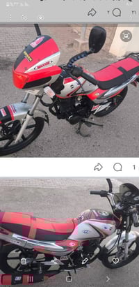 بلرمادي • موديل ٢٠١٩ • أوراق