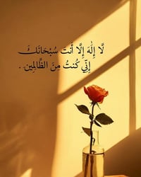 الكوت اليوسفية • ١١٤٠م • أرض زراعية