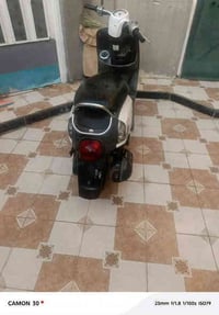 ماكس بوليس • نضيفه • الزيتون