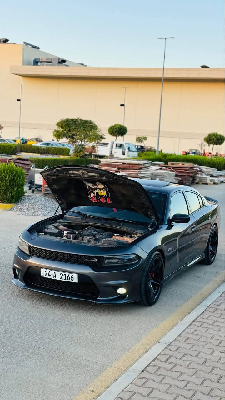 سلام و عليكم ورحمة الله وبركاته بسم الله موجود دوج تشارجر سكات باك ٢٠١٦ وارد كندي للبيع❤️

محرك: SRT V8 6.4L  ٨ سلندر حجم مكينة ٦.٤
مكفول من محرك و كير و كهربايات.✅

سيارة عليها x-pipe . اويل كاتج كان . بلكات ايراديوم . مبدل دهن pennzoil اصلي . كزوزات بلادي ما لاعبتن بيها✅
_____________________
مواصفات📃
1-بصىمة شغال✅
2-تشغيل عن بعد ✅
3-كشنات امامي تبريد+هيتر♨️
4-كشن خلفي هيتر♨️
5-ستيرن هيتر♨️
6-جامات امامي اوتوماتيك✅
7-شاشة كبيرة و كاميرا خلفية✅
8-تحكم وضع قيادة SRT DASHBOARD ✅(CUSTOM,SPORT,DRAG)-9
10-لانج كنترول+بيرن اوت Lunch control +burn out ✅
11-كشن كهربايي✅

___________________
حادث جاملغ خلفي خفيف بدون دواخل 
ماشية:٦٥الف ميل
 و قابل للزياذة.!
____________________
سيارة رقم دهوك سنوية لحد٢٠٣١ هزة لحد شهر خامس
بأسمي تحويل ثاني يوم✅
مكان:سليماني
رقم هاتف: ***********
سعر:١٦٣$مجال السليمانية, العراق
