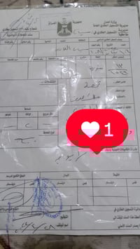 الدبيسات • خلف حسينية الزهراء • ١٠٠م