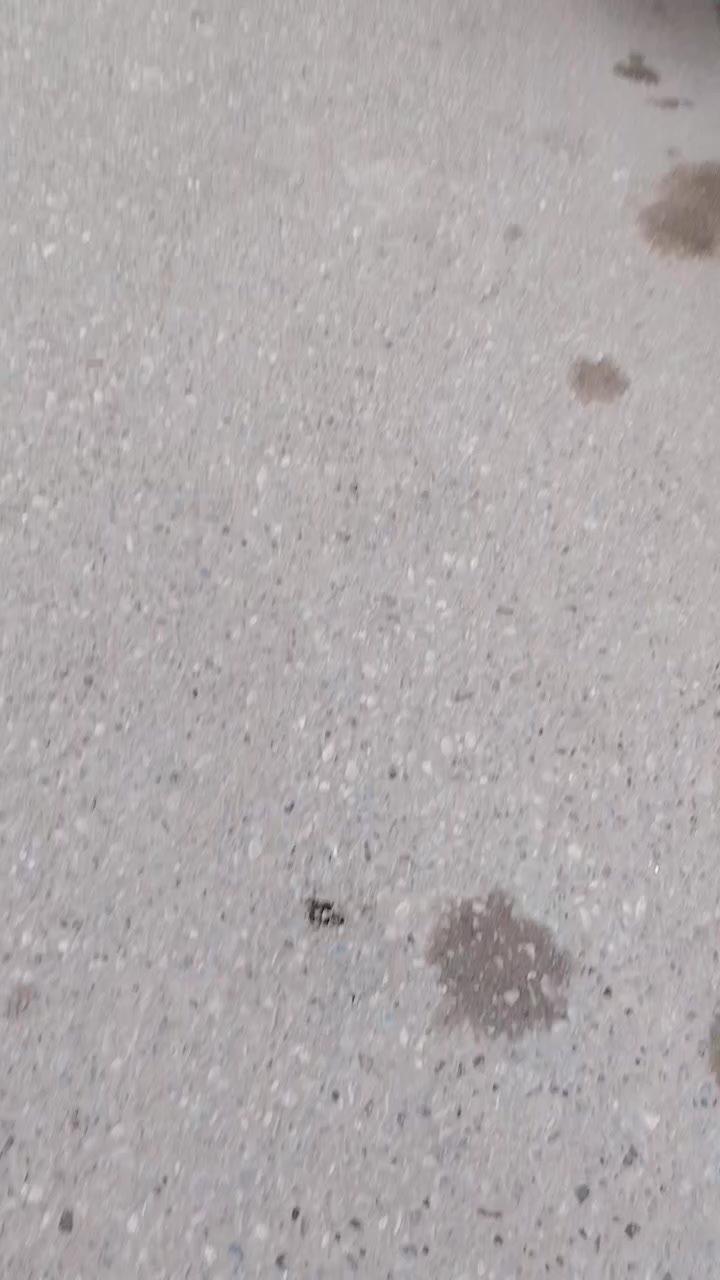 اكتروس شمعه ٩٨ بموديلها مجموعة جي أف مكينه 33.43 تخم تاير راس وعربانه  للبيع في كربلاء ***********
