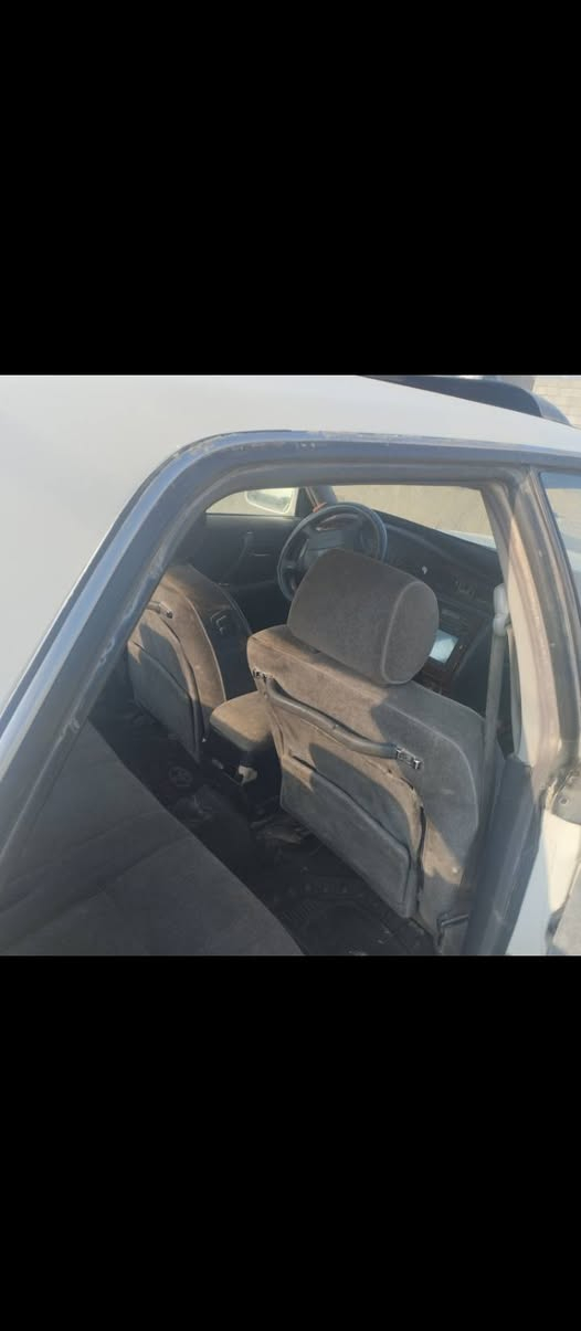 رأس الثور لبيع ب اسمي مشروع وطني ب 70 مكاني كوفه ***********
