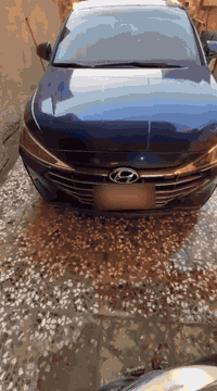 سلام عليكم 
النترا مديل 2019 امريكي 
محرك 2000 دوش
ايرباك كله سليم بلادي
كير AT بلادي 
3 انضمه قياده 
ماشيه 79
تخم تاير جديد 
دوشمه عامه 
منضومه زنون جديده 
شاشه حجم كبير 
كامره داوره 360 
تحكم ستيرن جهتين 
مانع انزلاق 
تحديد مسار
والمواصفات المعروفه مال 2019 ووسونار موجود 
سياره جديده خير من الله تاخذها ربع متصرف عليها 
ضرر السياره كلير   قطعتين فقط بنبد وباب الصدر 
وصبغ جاملغ امامي انضربت هنا  عندي باقي كفاله عامه سونار موجود 
كير مكينه صدر كفاله عامه سياره بغداد بسمي
سعرها 135 بيها مجال   
مكان السياره بغداد مكلف بنشر مو صاحب سياره
صاحب سياره *********** بي واتساب
