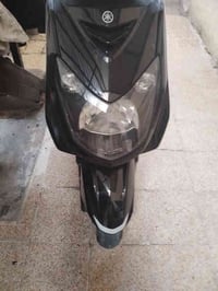 سكنس فحل ورد ياباني ام طلاعات خطين نوزل البيع رقم الجوال 07707183153 م...