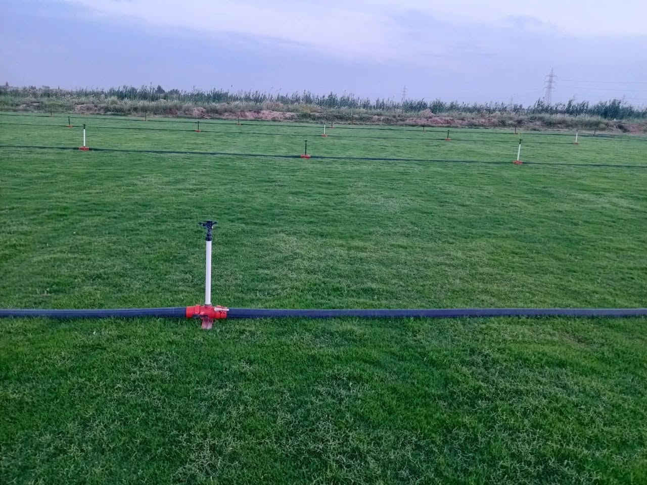 باسعار ثيل ديالى الطبيعي 🏡
أهلاً بكم في مجموعه مزارع ديالى لثيل الهندي الطبيعي 🌿🌱
 نقدم لكم افضل انوع الثيل الطبيعي عالي الجوده يتحمل كافه الضروف البيئية.🌦️🌞
دائم الخضرة🌿🌳 وباسعار تنافسيه ☘️❤️
#مستعدون لتجهيز وفرش الحدائق🏡 ودوائر الدولة🏡والمنازل🏡🏡
و تجهيز الملاعب🏟️ والمنتزهات الجودة العالية في العمل👷👷

مع خدمة التوصيل خلال24ساعه🚛🚛
الاسعار 💵💸 تختلف حسب الكمية 
للاستفسار الاتصال على : 
او التواصل مع الصفحه او اتصال علئ رقم  عن طريق ارسال رسالة على الوتساب ‏‪***********
