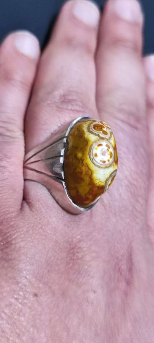 داودي حجر وصياغة قديم .... التفاصيل خاص


**إذا كنت صاحب هذا الإعلان وتريد حذفه لأي سبب، رجاءا أرسل رسالة إلى الدعم الفني**