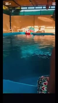 مزرعه آشور للحجز اليومي للاستفسار الاتصال على الرقم 07815292545 وتساب ...