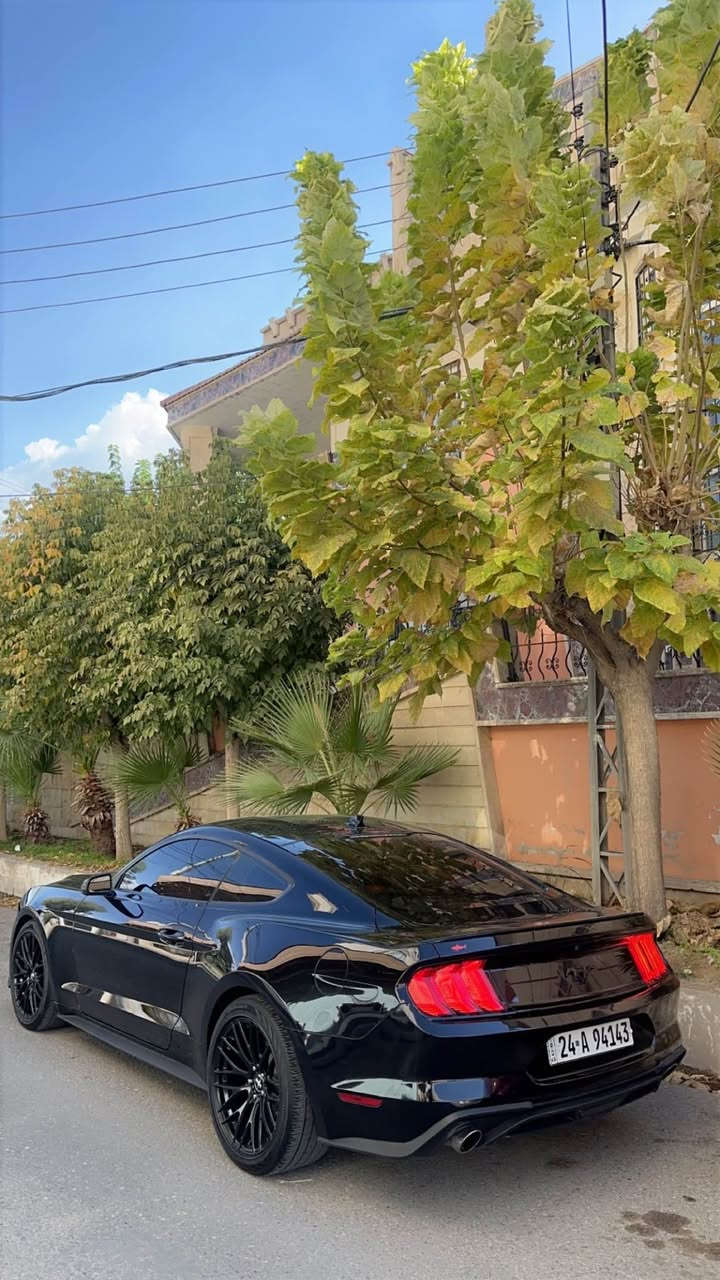 Ford Mustang 
2021
18,300$
Clean 
50,000mi
0751,480,88,70 زاخو, دهوك


**إذا كنت صاحب هذا الإعلان وتريد حذفه لأي سبب، رجاءا أرسل رسالة إلى الدعم الفني**