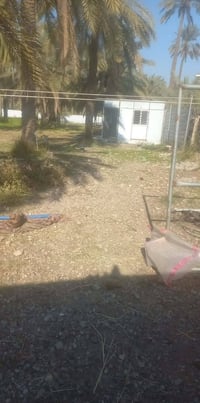 (توجد) ارض للبيع (دونم ونص) في منطقة التويثه قرب سيطرة القاضي الوجه ٤٤...