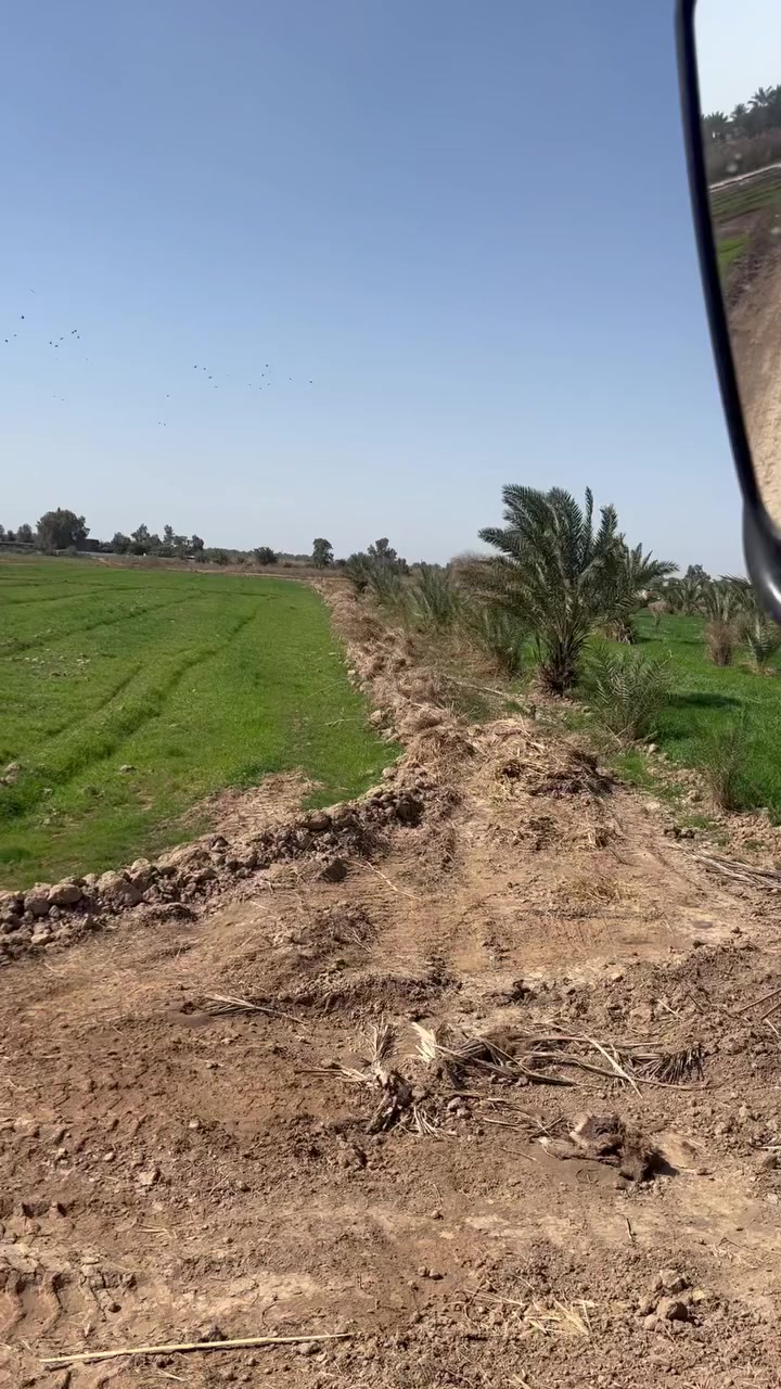 السعر والتفاصيل اتصل *********** ترهم مراوس بيت بلطارميه
