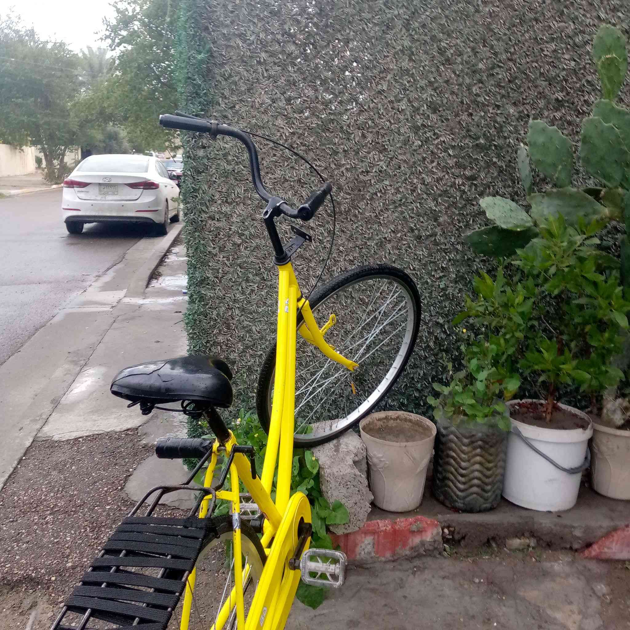 سلام عليكم بيسكل للبيع أو مروس سعر 130 مكان بياع


**إذا كنت صاحب هذا الإعلان وتريد حذفه لأي سبب، رجاءا أرسل رسالة إلى الدعم الفني**