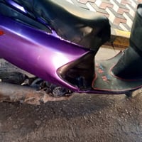 فراشه فحل عايزه فقط سيم صندوك لا مفتوحه ولا تبخر ولا تنقص مراوس ونطي ف...