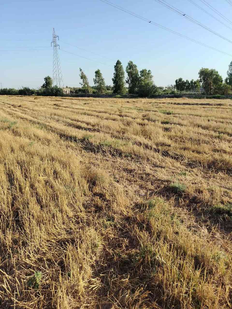 ٤دوانم للبيع كوت طريق عماره ميسان منطقة البيضاء طابو زراعي ١١٧قريبات جدأ ع شارع لهن شارع خاص بيهن خدمات ماء كهرباء مدارس حصه روائيه لهن يحتون ع 50نخله مثمره الارض حلوه وصالحه لزراعه سعر ل4دونم 45مليون وبيهن مجال بسيط جدأ


**إذا كنت صاحب هذا الإعلان وتريد حذفه لأي سبب، رجاءا أرسل رسالة إلى الدعم الفني**