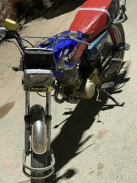 تايجر 21 • ورقة كرتونية • جسر خرنابات