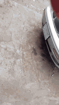 ***********
***********
