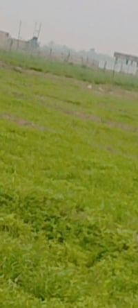 خلف منشاه نصر • ع الاسحاقي • ضمانه