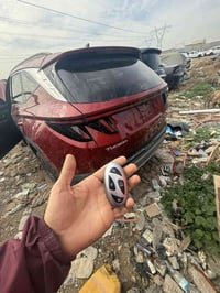 من رخصت الادمنيه مفاتيح ابو شهاب خبره تتجاوز الاربعين عام    اخزن الرق...