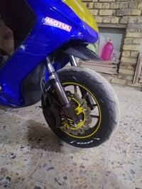 سكنس فحل • مزودة • NCY