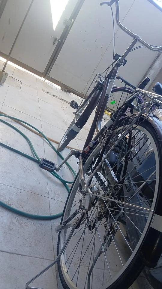 سلام عليكم باسكل للبيع حجم 27 كلشي شغال بي لايت امامي عكرب كشن موجود مكاني كربلاء حي الإعلام قرب سوك الحراميه هذه
رقمي ***********.........السعر 70وبي مجال
