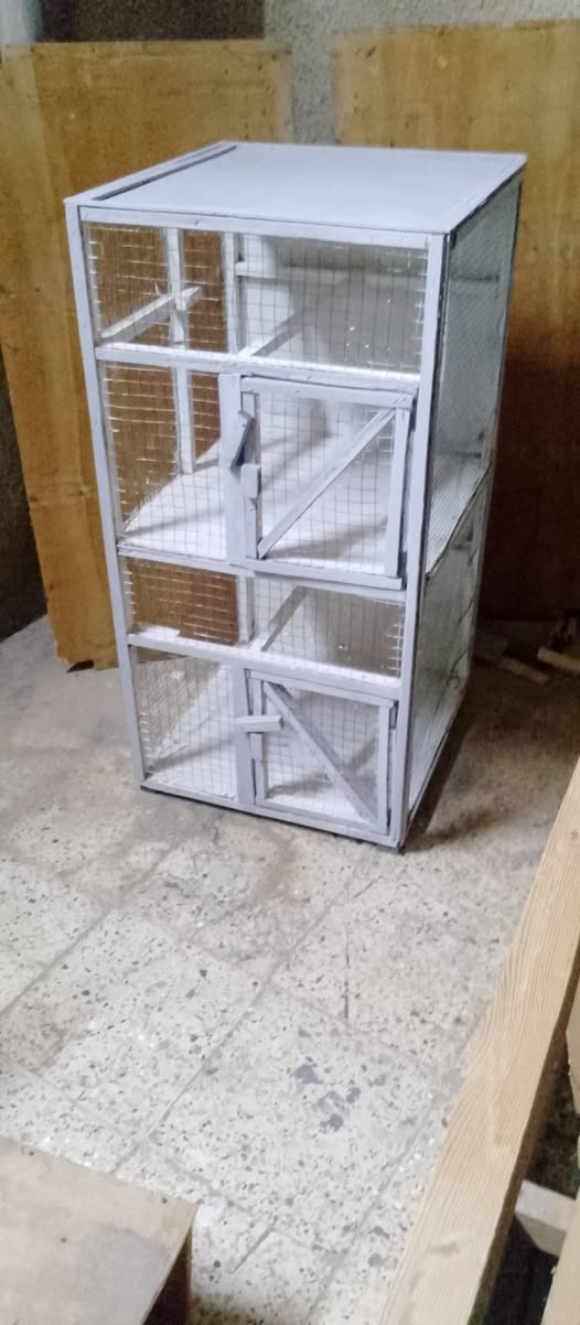 قفص خانتين جديد مامستخدم السعر 25وبيها مجال


**إذا كنت صاحب هذا الإعلان وتريد حذفه لأي سبب، رجاءا أرسل رسالة إلى الدعم الفني**