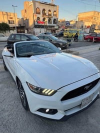 موستانغ أيكو بوست • ٢٠١٧ • حادثه