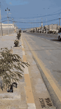 قطعة ٢٥٠م • قاعة ١٥٠م • شارع ٤٠