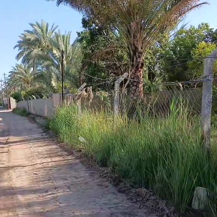 عقار اللبيع ✅ نص دونم  متوفره كافه الخدمات بي ✅ وايضا يصلح شاليه  ودار ستراحه ✅ جنس العقار طابو زراعي ✅ سند 25✅ وايضا قريب ع شارع تبليط  ✅ والسكن   اللاستفسار يرجئ الاتصل وحياكم الله ‏العنوان بغداد الراشدية ‭***********
