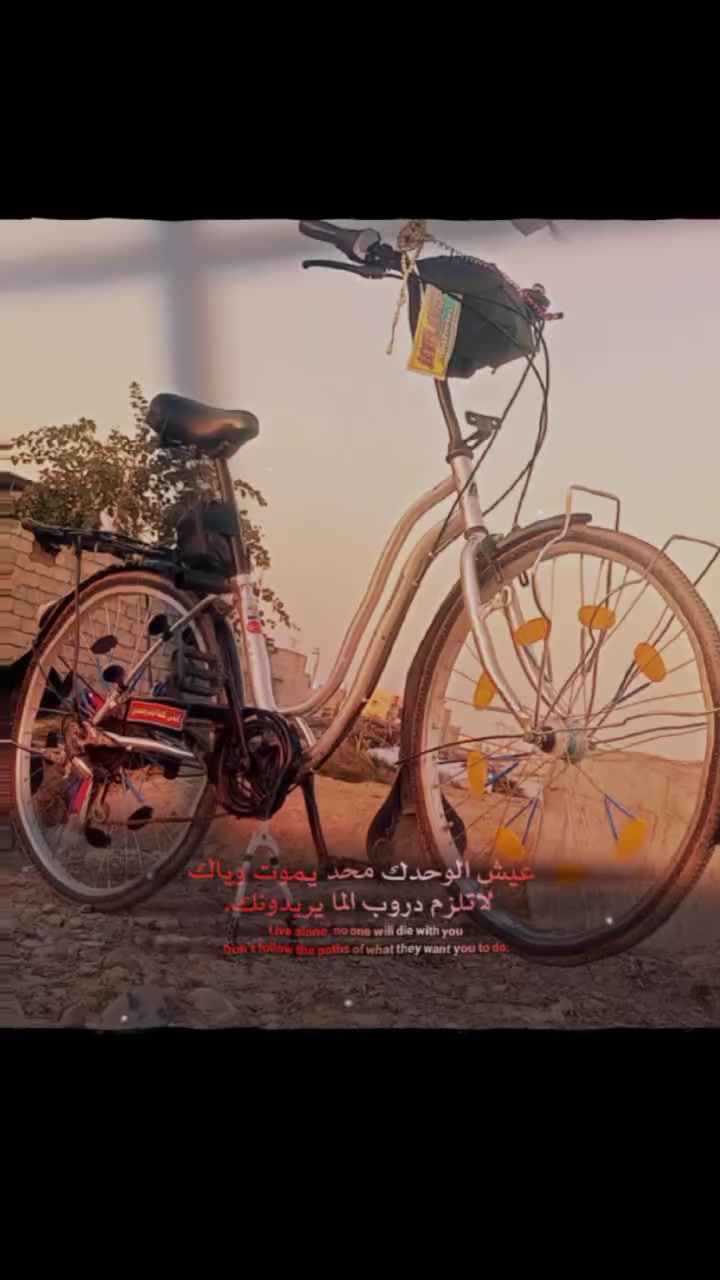 بايسكل البيع عانواني ديالى بعقوبه السعر 125بي مجال


**إذا كنت صاحب هذا الإعلان وتريد حذفه لأي سبب، رجاءا أرسل رسالة إلى الدعم الفني**