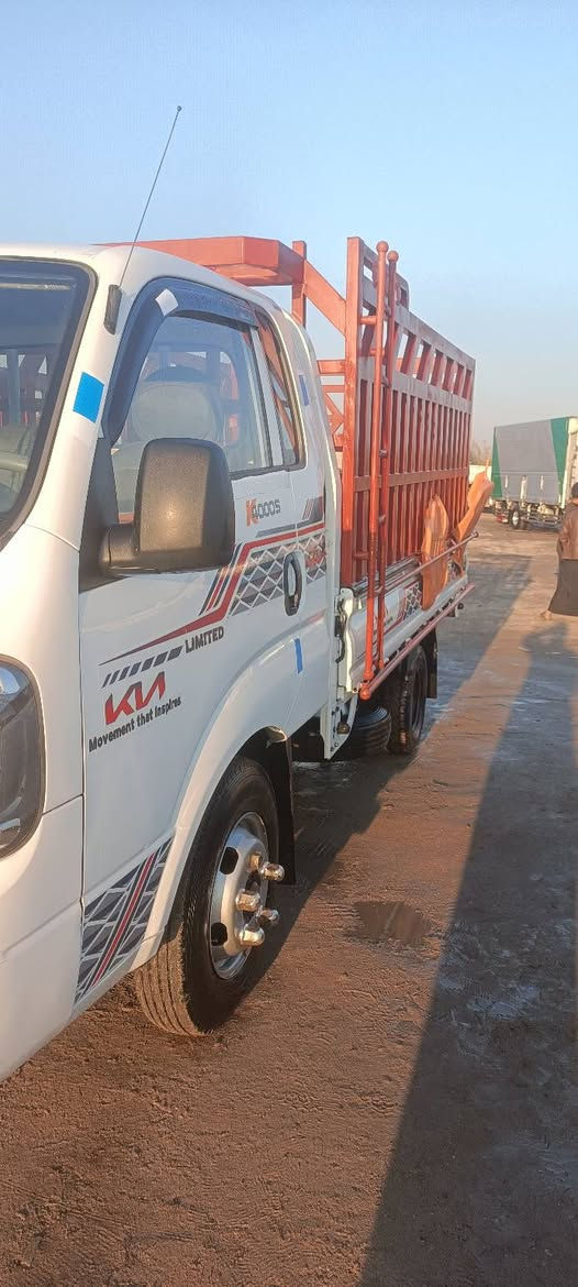 فحل موديل 22كفاله عامه
4000.          $178
***********
بسم شركه شرط التحويل
قادسيه
