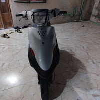 شغال • سلف • البصره