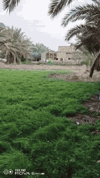 السلام عليكم بستان دونم للبيع طابو سند ٢٥ متوفر جميع الخدمات ماء كهرباء تبليط انترنت
العنوان:لشوملي_قرب  ساحه الطف 

للاستفسار :***********
