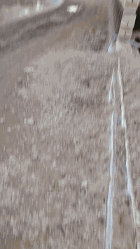 سلام عليكم بتلو البيع زراعي سند 25مساحه 208واجه 8ونزال 26 شارع 12مكان ورئ بيت رويد قرب منتجع نصير الزبيدي سعر خاص الاستفسار على رقم ***********
