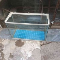 حوض سمك • ماطور اوكسجين • بعقوبة كاطون الرحمة