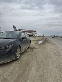 كورلا • ٢٠٢٤ • بونيه مصبوغ