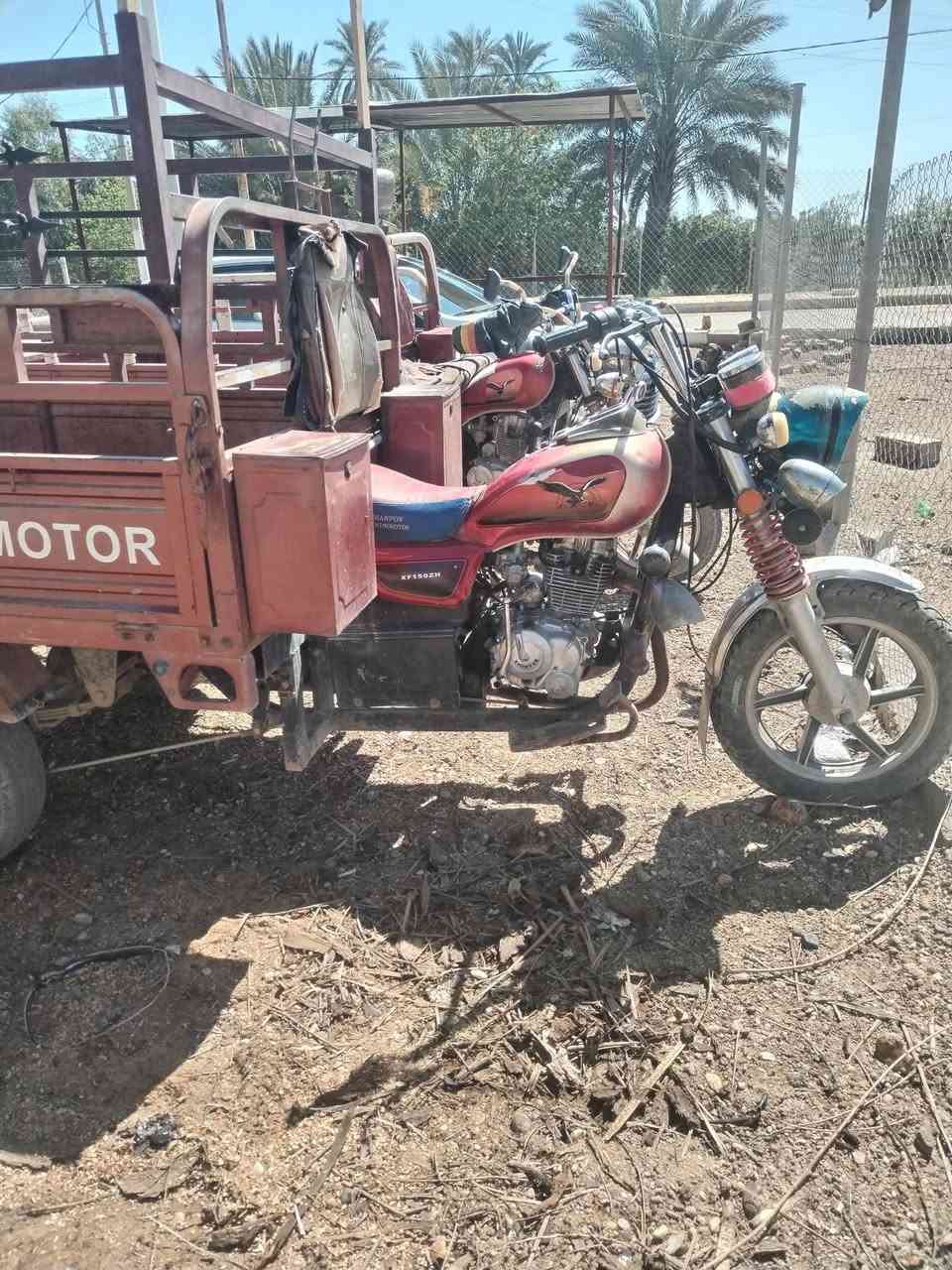 طرطوره ام الطير فحل للبيع2018 مكمراك سعر ١٢٥٠ رقم ***********
