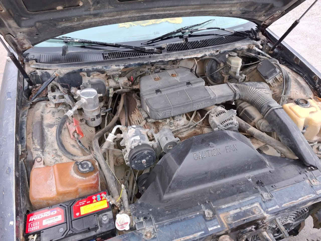 دولفين شوفرليت1992 كلاسيك سنوي اصلي به شه رتي حاسيبه. به شه رتي وكاله بيكم به ناوته وه گير توماتيك مه كينه ي 8پستون تبريدي به فره ❄☃سه ياره كه جوانه 4تايه ي لوك له ژيره نرخي 9گه لا


**إذا كنت صاحب هذا الإعلان وتريد حذفه لأي سبب، رجاءا أرسل رسالة إلى الدعم الفني**