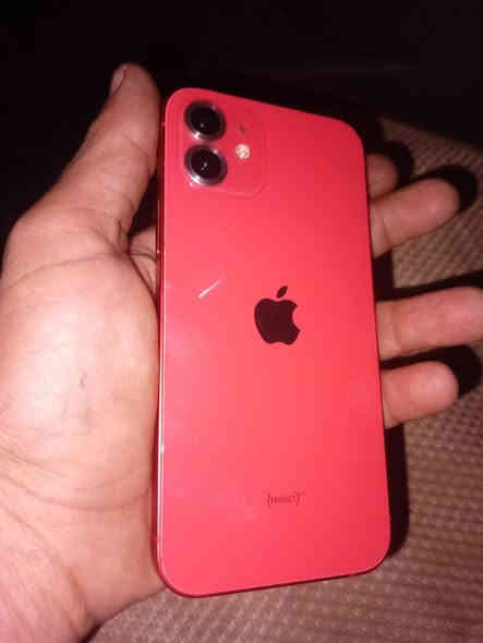 السللام عليكم شباب 
للبيع ايفون12عادي
بطاريه79بلادي
ذاكرة64
لون مميز
ممفتوح ولامصلح شاشه ٣خيارات فيس ايدي شغال
محدث اخر تحديث 
سعره 290
مكاني الشعب
***********
