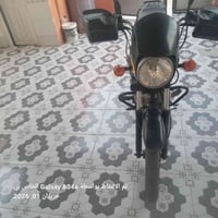 بوكسر كلاسيك • أوراق اصولي • محرك ابلدي