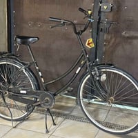 باسكل بناتي • حجم 26 • مجال بسيط