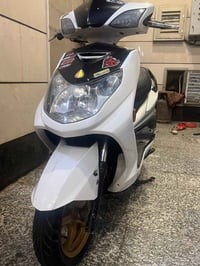 دراجه سكنس • مكفولة • فحل