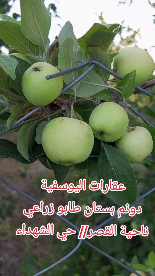 #creatorsearchinsights 


**إذا كنت صاحب هذا الإعلان وتريد حذفه لأي سبب، رجاءا أرسل رسالة إلى الدعم الفني**