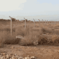 بسم الله الرحمن الرحيم على بركه الله دونم للبيع قانون 35 مربع 50 في 50...