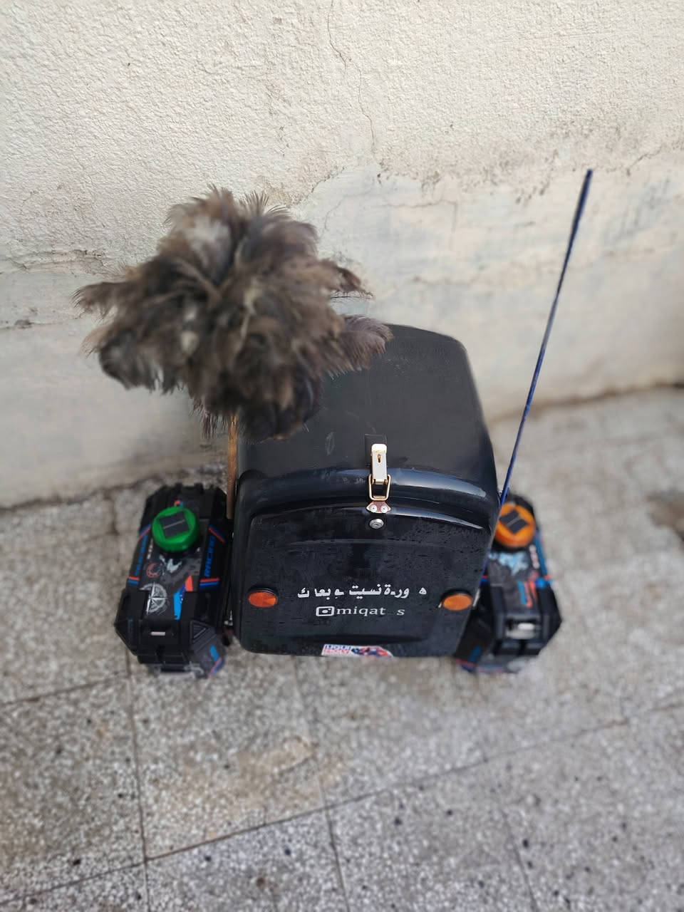 نضيفات جيب وشد سعر 120  وبيهن مجال بيهن اناره طاقه شمسيه ***********
