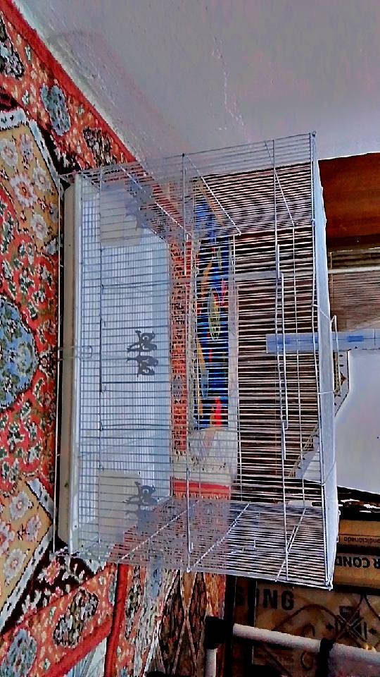 سلام عليكم قفص للبيع السعر20الشراي يتصل علرقم***********
