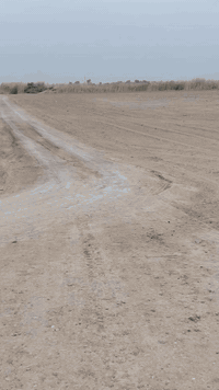 10 دوانم للبيع على المشروع الاراضي مباشرتا
العنوان تاجي ذراع دجله تباع دونم فما فوق 
صايره على شارع 10 مترات وواجهية الدونم 
الواحد 50×50 مربع منطقة امان وتكدر تعيش برفاهيه
وترفيه سعر الدونم الواحد 35 مليون جنس الارض طابو
سند 25 فتح بيان بسم المشتري اي تواصل او استفسار
على رقمي متوفر بي واتساب *********** 🌴🌳
